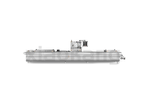 DLZ-420D全自动连续拉伸真空包装机